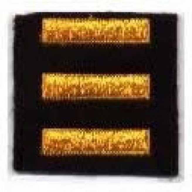 SERVICE BARS - SUMMER GOLD ON BLACK FELT - 1" X 1/4" EACH.